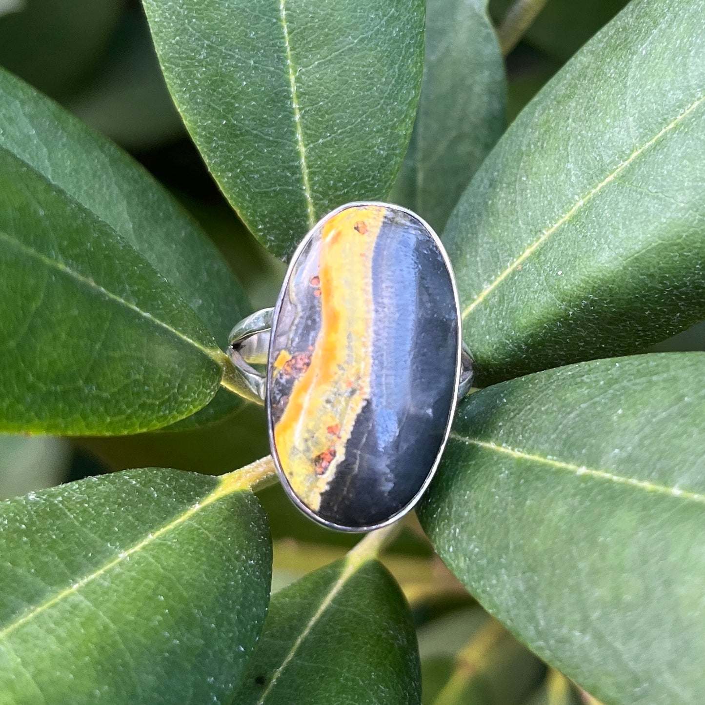 Bumblebee Jasper - Size 7.5 – Gemstone Ring